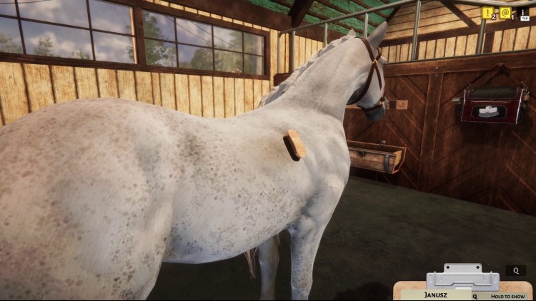 Animal Shelter - Horse Shelter DLC