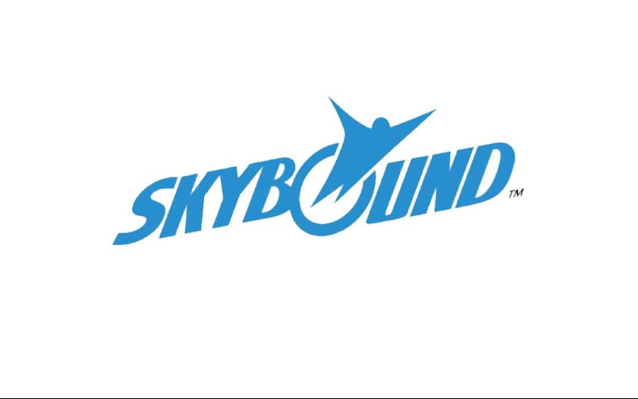What is Skybound Game Studios?