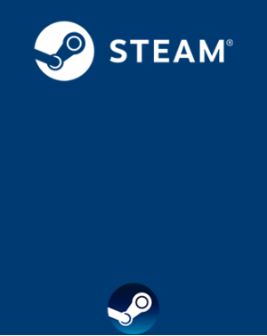 Steam 100 USD